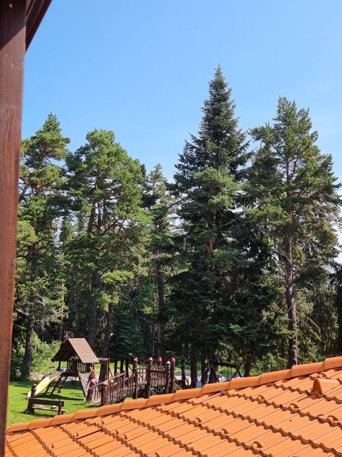 Borovets Ski&Spa Studio - Semiramida Garden A16 외부 사진